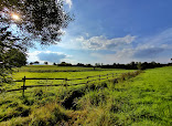 Roth Horse Ranch thumb 4